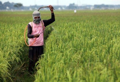 25 Ocak Salı-Günün Fotoğrafları