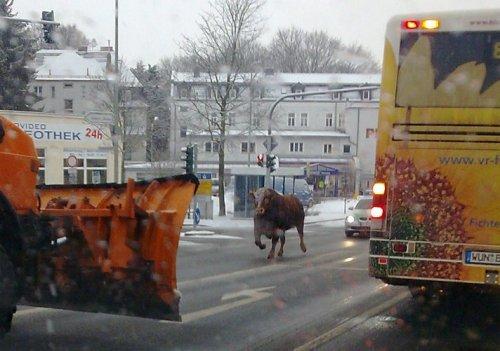 25 Ocak Salı-Günün Fotoğrafları