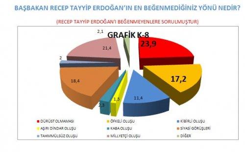 AKAM'ın anketinde etnik kimliklerin politik tercihi - Resim 25