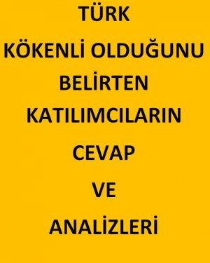 AKAM'ın anketinde etnik kimliklerin politik tercihi - Resim 1
