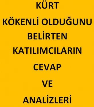 AKAM'ın anketinde etnik kimliklerin politik tercihi - Resim 17