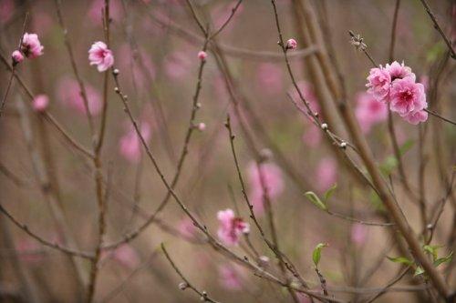 26 Ocak Çarşamba-Günün Fotoğrafları