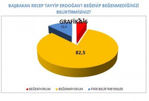 AKAM'ın anketinde etnik kimliklerin politik tercihi - Resim 38
