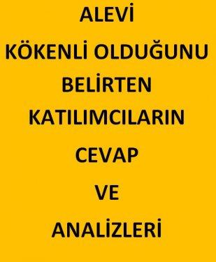 AKAM'ın anketinde etnik kimliklerin politik tercihi - Resim 32