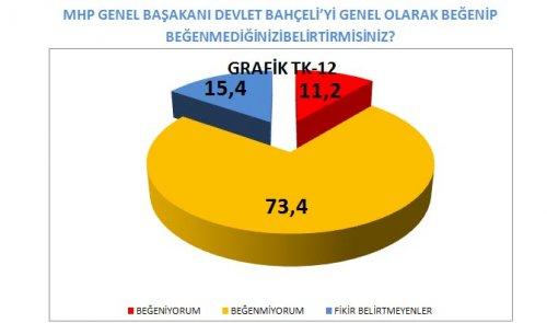 AKAM'ın anketinde etnik kimliklerin politik tercihi - Resim 13