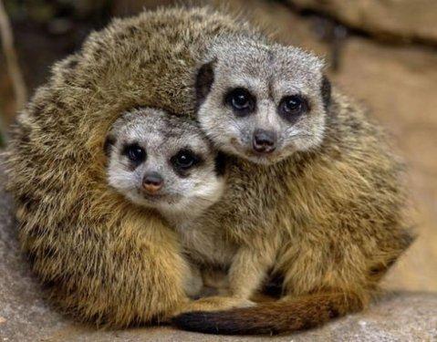 İnternetin en garip fotoğrafları