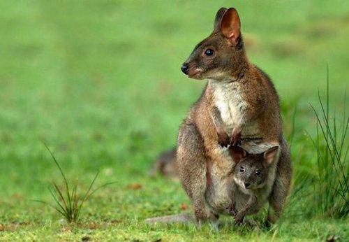 İnternetin en garip fotoğrafları