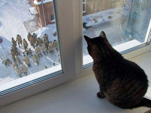 İnternetin en garip fotoğrafları