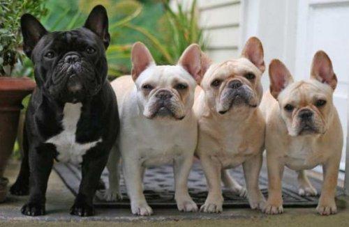 İnternetin en garip fotoğrafları