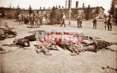 Nazi soykırımının belgesi - Resim 25