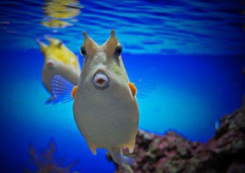 İnternetin en garip fotoğrafları