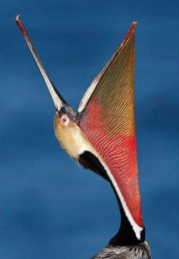 İnternetin en garip fotoğrafları