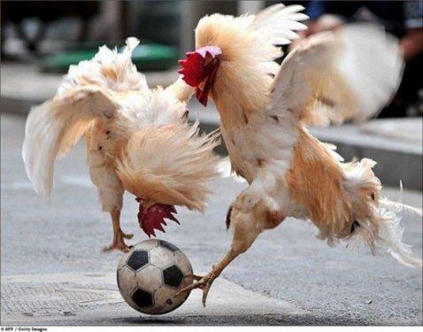 İnternetin en garip fotoğrafları