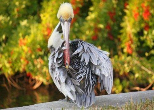 İnternetin en garip fotoğrafları