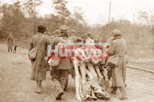 Nazi soykırımının belgesi - Resim 15