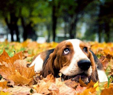 İnternetin en garip fotoğrafları