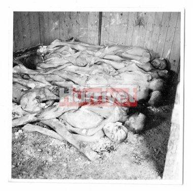 Nazi soykırımının belgesi - Resim 10