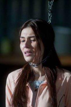 Kurtlar Vadisi'nden unutulmayan sözler