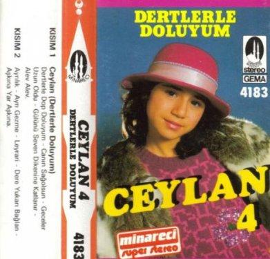 Ünlülerin ilk albümünden bu yana değişimi - Resim 76
