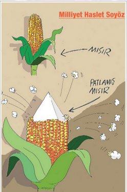Karikatürle Mısır isyanı - Resim 4