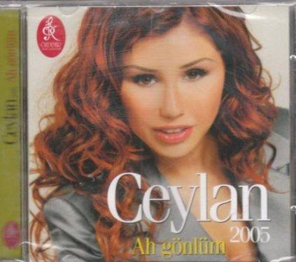 Ünlülerin ilk albümünden bu yana değişimi - Resim 77