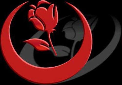 Siyasi partilerin amblemlerinin şifreleri