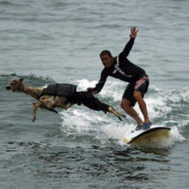 Facebook fotoğrafları neyi anlatıyor