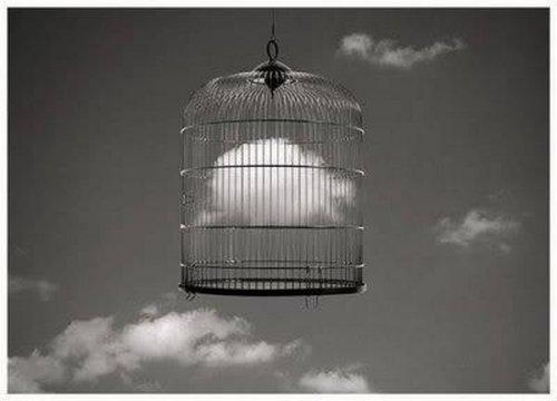 Fotomontaj değil gerçek - Resim 76