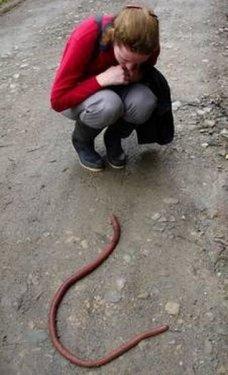 Fotomontaj değil gerçek - Resim 5