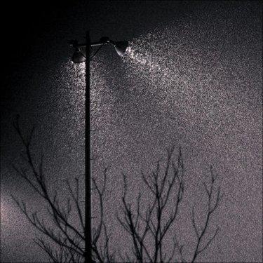 Fotomontaj değil gerçek - Resim 50
