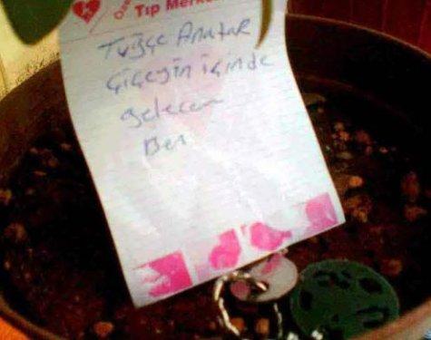 Çılgın Türkler güldürmeye devam ediyor - Resim 135