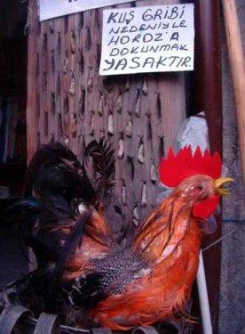 Çılgın Türkler güldürmeye devam ediyor - Resim 66