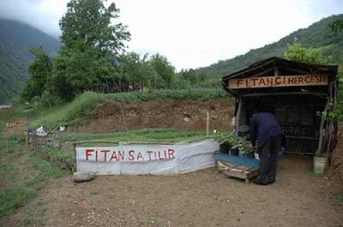 Çılgın Türkler güldürmeye devam ediyor - Resim 104