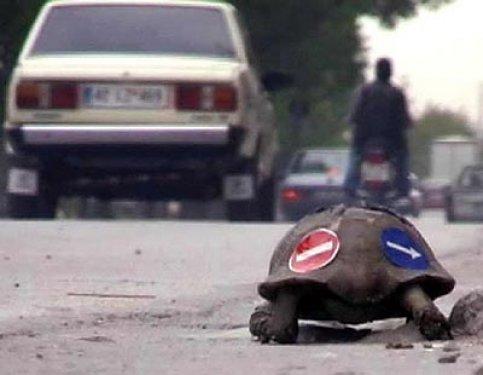 Çılgın Türkler güldürmeye devam ediyor - Resim 130