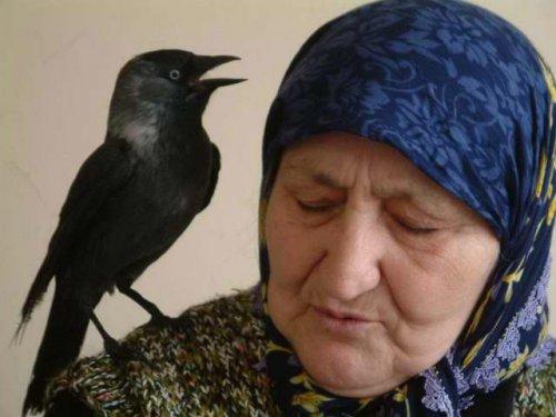 Çılgın Türkler güldürmeye devam ediyor - Resim 98