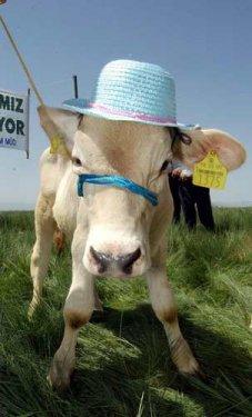 Çılgın Türkler güldürmeye devam ediyor - Resim 19