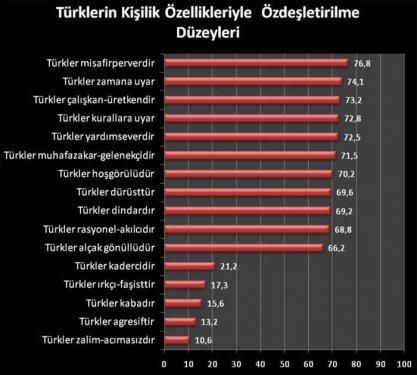 'Dünyada Türkiye Algısı' anketinin sonuçları - Resim 7