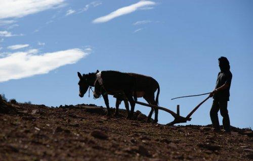 Hayatı yüzünde taşıyan insanlar