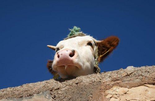 Hayatı yüzünde taşıyan insanlar