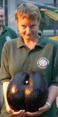 Dünyanın en ilginç olayları