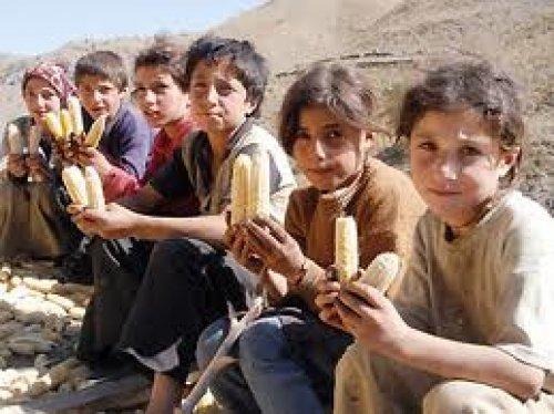 Türkiye'nin yüzde kaçı Erdoğan'ı destekliyor - Resim 25