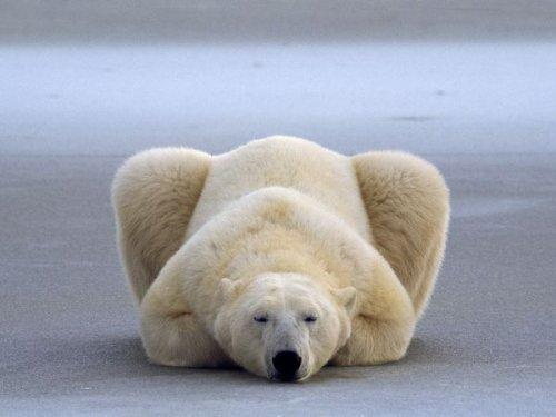 National Geographic'in objektifinden - Resim 4