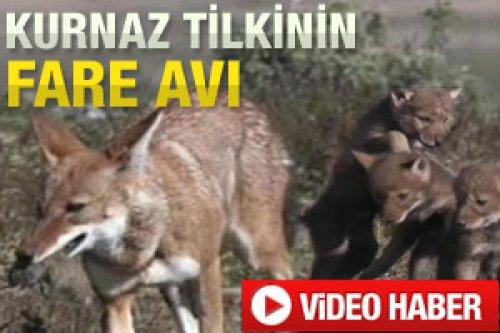 4 Mart Cuma - Günün Özeti - Resim 18