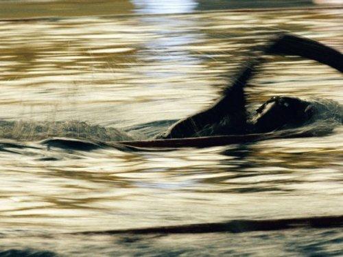 National Geographic'in objektifinden - Resim 5