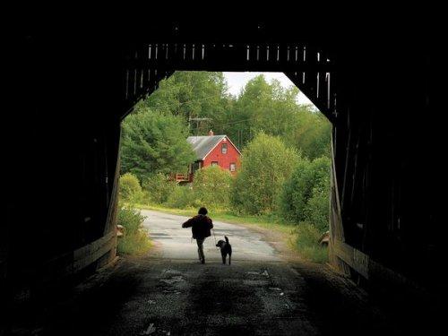 National Geographic'in objektifinden - Resim 56
