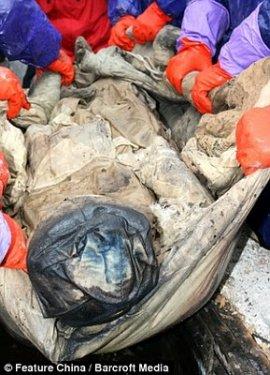 Yüzüklerin efendisi kadın çıktı