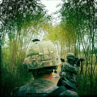 Cep telefonu fotoğraflarına büyük ödül