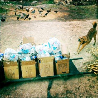 Cep telefonu fotoğraflarına büyük ödül