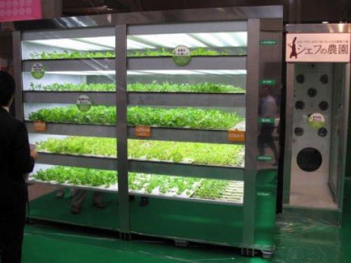 Artık otomatlardan bu bile çıkıyor