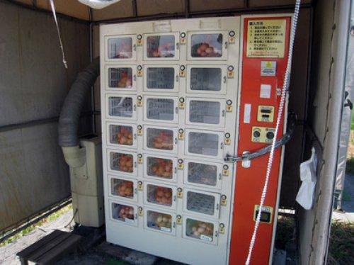 Artık otomatlardan bu bile çıkıyor